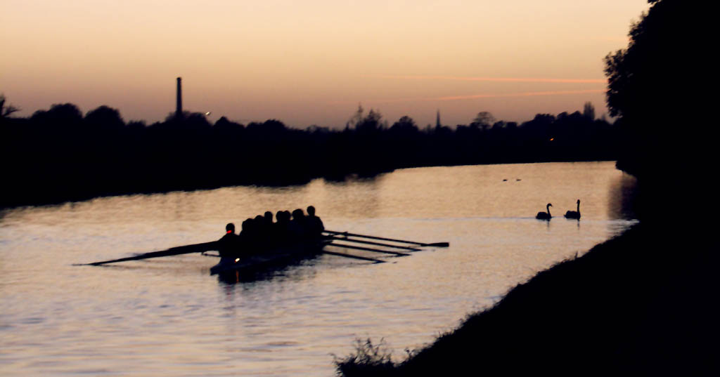 Why rowing is a good workout and a great sport